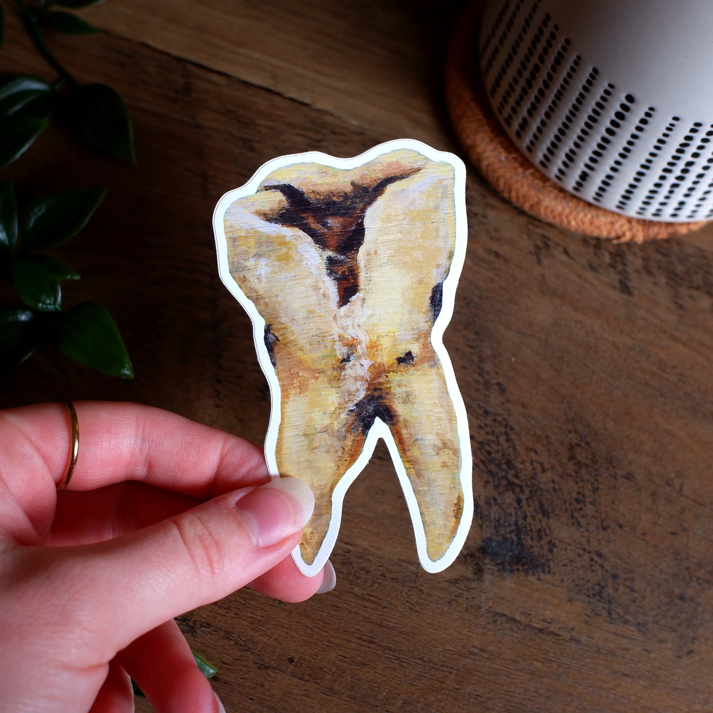 "Bittersweet" Tooth Sticker